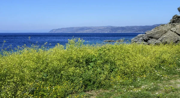 Kutsal Athos Dağı'nın güzel doğa