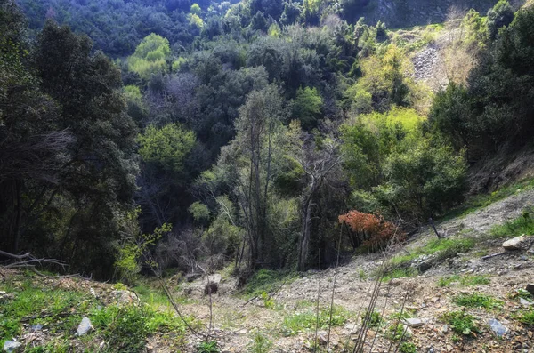 Gyönyörű természet, a Szent városban az Athos-hegy — Stock Fotó