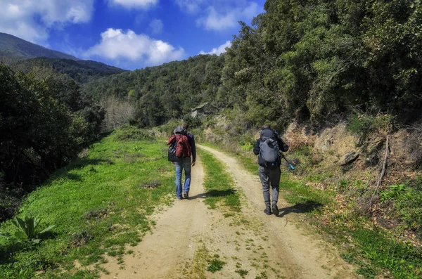 Genç seyahat backpacker Athos, Yunanistan