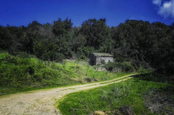 Celda abandonada en el Monte Athos — Foto de Stock