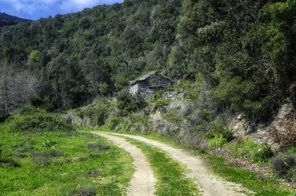 Terk edilmiş Mount Athos cepten