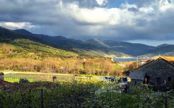 Die Natur des heiligen Berges athos, griechisches Mazedonien — Stockfoto