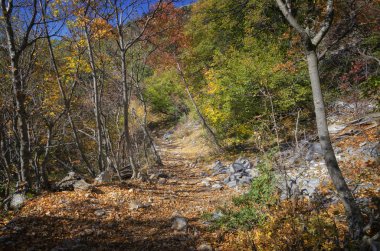 Güzel sonbahar landcape, Athos Yarımadası kıyılarında görünümünden