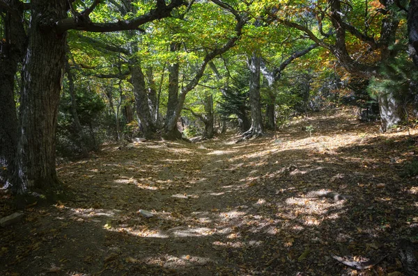 Piękna Jesienna landcape, widok z wybrzeża półwyspu Athos — Zdjęcie stockowe