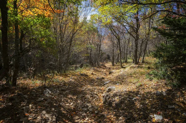 아름 다운가 landcape, 아토스 반도 연안에서 보기 — 스톡 사진