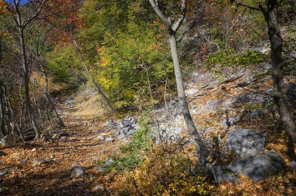 Piękna Jesienna landcape, widok z wybrzeża półwyspu Athos — Zdjęcie stockowe