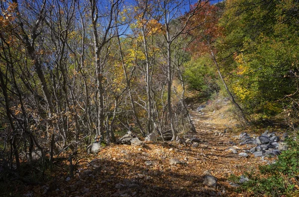 아름 다운가 landcape, 아토스 반도 연안에서 보기 — 스톡 사진