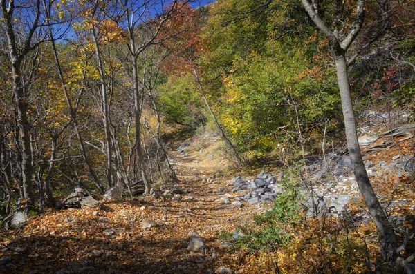 Wunderschöne Herbstlandschaft, Blick von der Küste der Athos-Halbinsel — Stockfoto