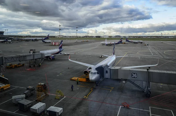 Moskova Sheremetyevo airport, Rusya Federasyonu - 21 Ekim 2017: görüntüle terminaller park uçak