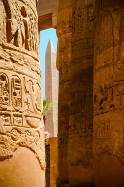 Luxor tapınakları (antik Thebes) büyük Hipostil Salonu'nda. Sütunları, Luxor, Mısır'daki Luksor Tapınağı
