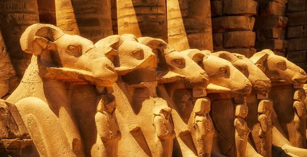 Viale delle Sfingi dalla testa d'ariete. Tempio di Karnak. Luxor, Egitto — Foto Stock