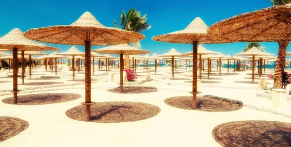 Lehátka a slunečníky na pláži proti modré obloze — Stock fotografie