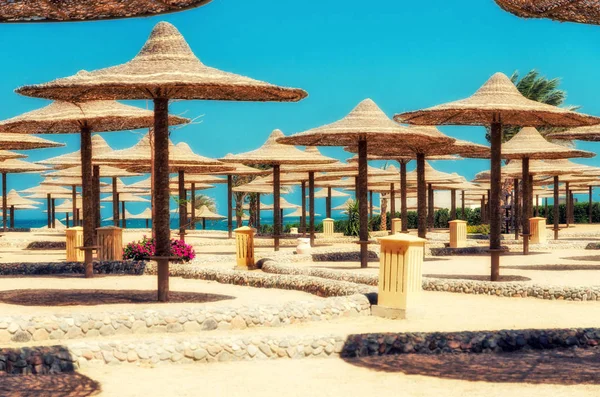 Solstolar och parasoller på stranden mot den blå himlen en — Stockfoto
