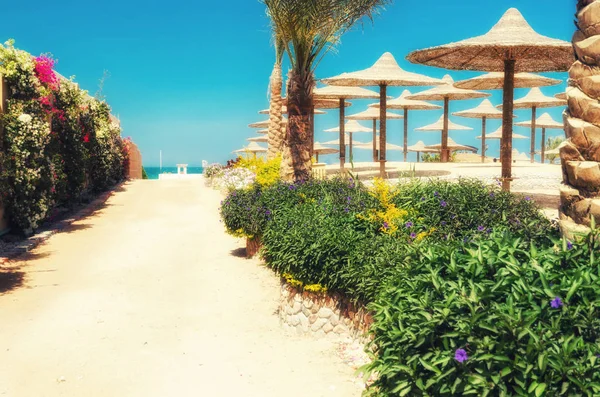 Liegestühle und Sonnenschirme am Strand gegen den blauen Himmel und — Stockfoto