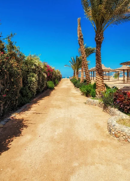 Lenoška Slunečníky Pláži Proti Modré Oblohy Moře Egypt Hurghada — Stock fotografie