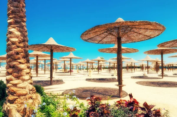 Salons de détente et parasols sur la plage contre le ciel bleu et — Photo