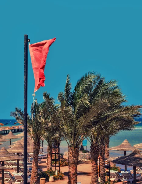 Piros Figyelmeztető Zászló Strandon — Stock Fotó