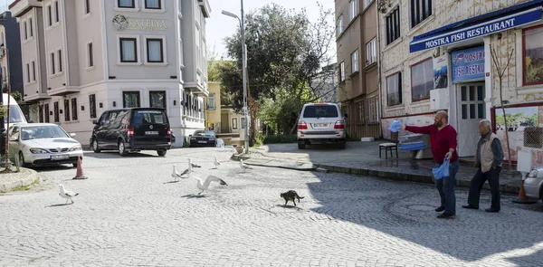 Istanbul Turkiet April 2014 Promenader Längs Gatorna Den April 2014 — Stockfoto