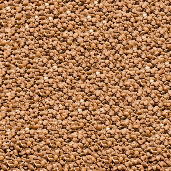 Buckwheat Corns Background Texture — Stock Photo, Image