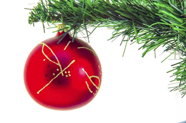 Rote Kugel Auf Dem Weihnachtsbaum — Stockfoto
