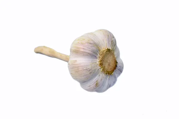 Άψητα ολόκληρο σκόρδο με κέλυφος σε λευκό φόντο — Φωτογραφία Αρχείου