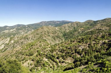 Dağlar ve ormanlar Kıbrıs