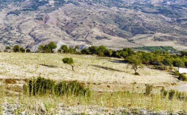 Kıbrıs road, Doğa, çam ve tepeler