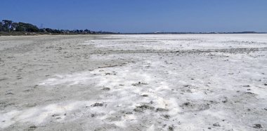 Tuz Gölü Larnaka, Kıbrıs için