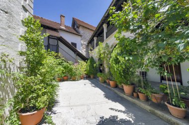 Kıbrıs. Bölge Chrysorrogiatissa Manastırı