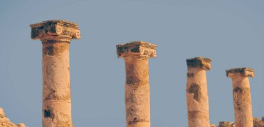 tapınağın sütun. Kato Pafos arkeolojik park. Paphos, Kıbrıs.