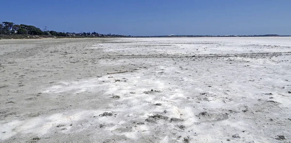 Tuz Gölü Larnaka, Kıbrıs için