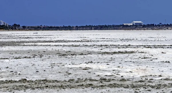 Lago Salato Larnaca Cipro — Foto Stock