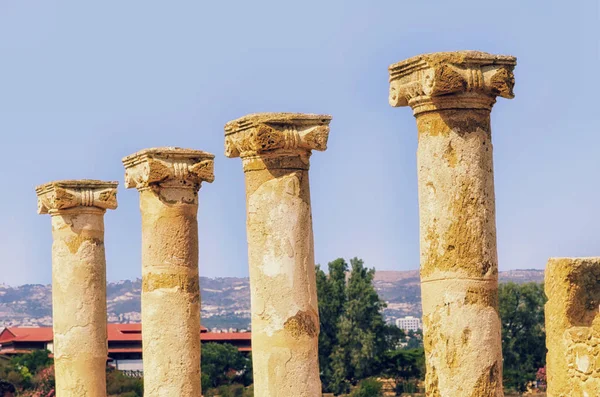 Templom Oszlopai Kato Paphos Régészeti Park Paphos Ciprus — Stock Fotó