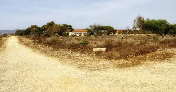Kato Paphos Archeaological Park Ciprus — Stock Fotó
