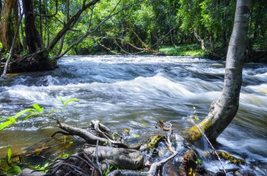 Sahasralingas (Linga 1.000), ro Yoni ve Linga rakamlar