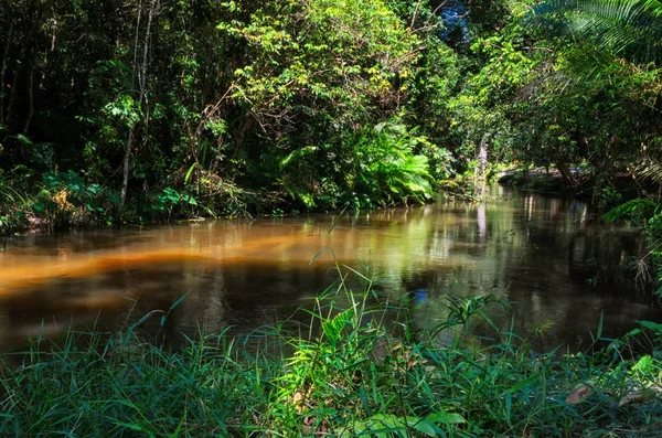 Sahasralingas Linga 1000 Linga 的数字在山的岩石河床沿 Kbal 发言河在金边 Kulen 国家公园 Koulen — 图库照片