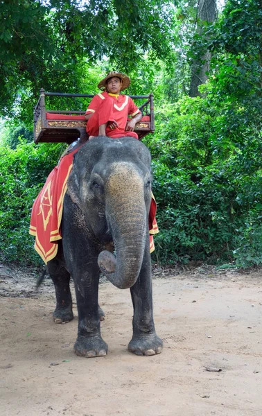 SIEM REAP, CAMBOYA - 15 DE OCTUBRE DE 2015: Los paseos en elefante son una atracción popular para los turistas en el área del templo Bayon de Angkor Wat, cerca de Seam Reap, Camboya . — Foto de Stock