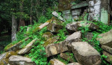 Angkor Prohm Tapınağı Angkor, Kamboçya'da