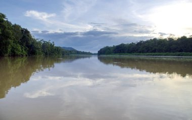 Kinabatangan, Malezya - 09 Mayıs 2013: turist bir tekne gezisi nehir, Kinabatangan, bazı en farklı konsantrasyon olan Borneo adasında yaban hayatı boyunca.