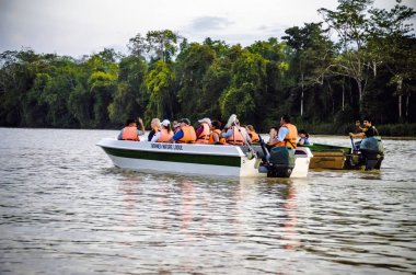 Kinabatangan, Malaysia - 09 May 2013 : Tourists on a boat cruise along the river of Kinabatangan, some of the most diverse concentration of wildlife in Borneo. clipart