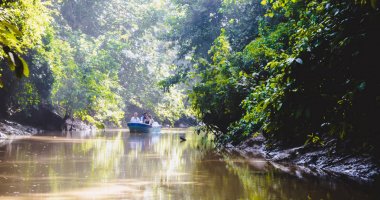 Kinabatangan, Malezya - 7 Mayıs 2013: turist bir tekne gezisi nehir, Kinabatangan, bazı en farklı konsantrasyon olan Borneo adasında yaban hayatı boyunca.