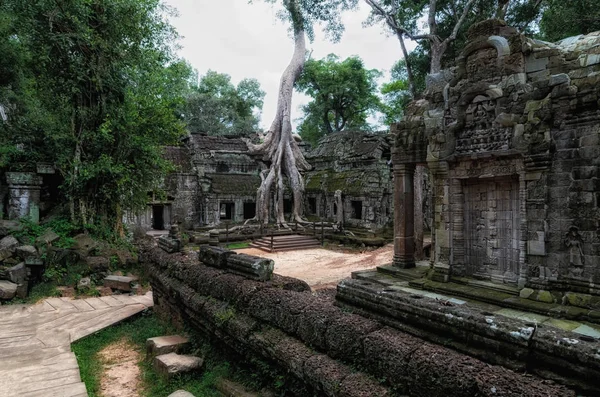 Angkor Prohm Temple Angkor Cambodia — Stock Photo, Image