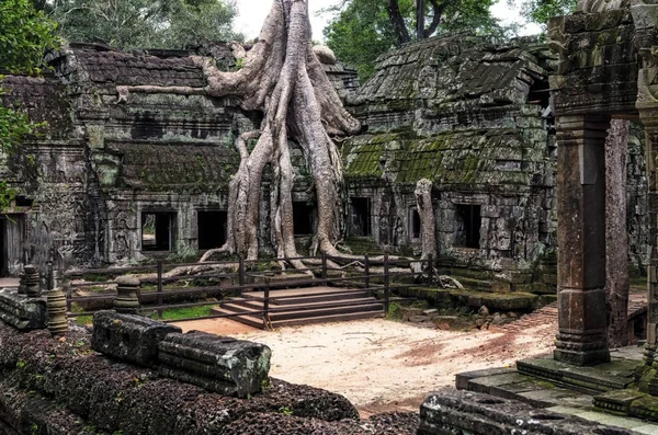 Angkor Prohm Temple Angkor Cambodia — Stock Photo, Image