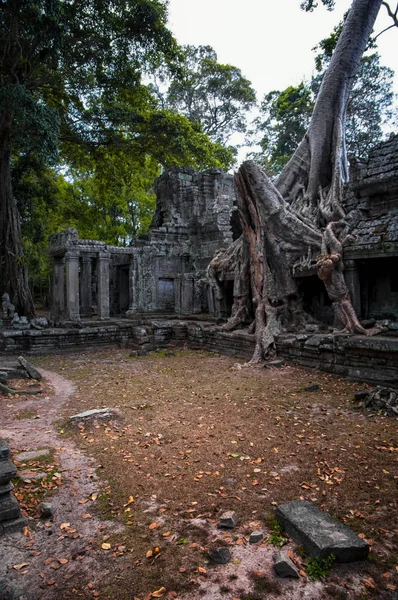 Uins of ancient Preah Khan temple in Angkor, Siem Reap, Cambodia. Preah Khan temple has been swallowed by jungle. Amazing Preah Khan is a popular tourist attraction. — Stock Photo, Image