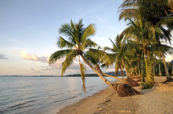 Sunset Papar Borneo — Stock Photo, Image