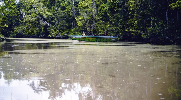 キナバタンガン マレーシア 2013 ボートに乗って観光客がボルネオ島で野生動物の最も多様な濃度のキナバタンガン川に沿ってクルーズ — ストック写真