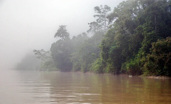 Kinabatangan River Borneo Malaysia — 图库照片