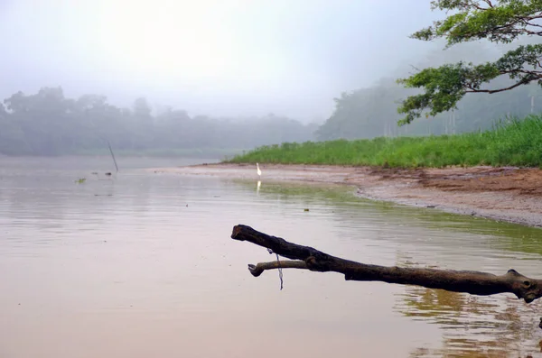 Rio Kinabatangan Bornéu Malásia — Fotografia de Stock