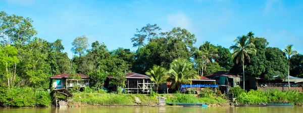 Kinabatangan Nehri Borneo Malezya — Stok fotoğraf