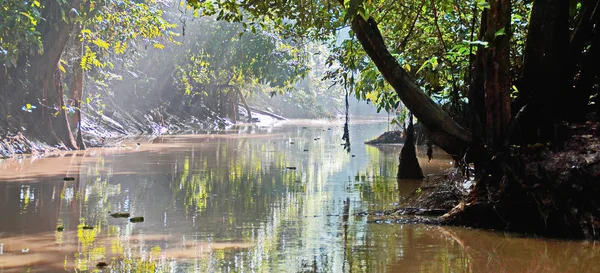 Río Kinabatangan, Borneo, Malasia — Foto de Stock